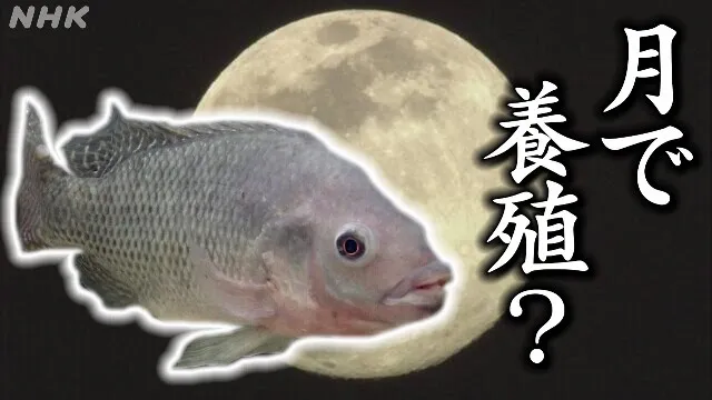 “地球見ながら刺身を食べたい”「月面養殖」への挑戦